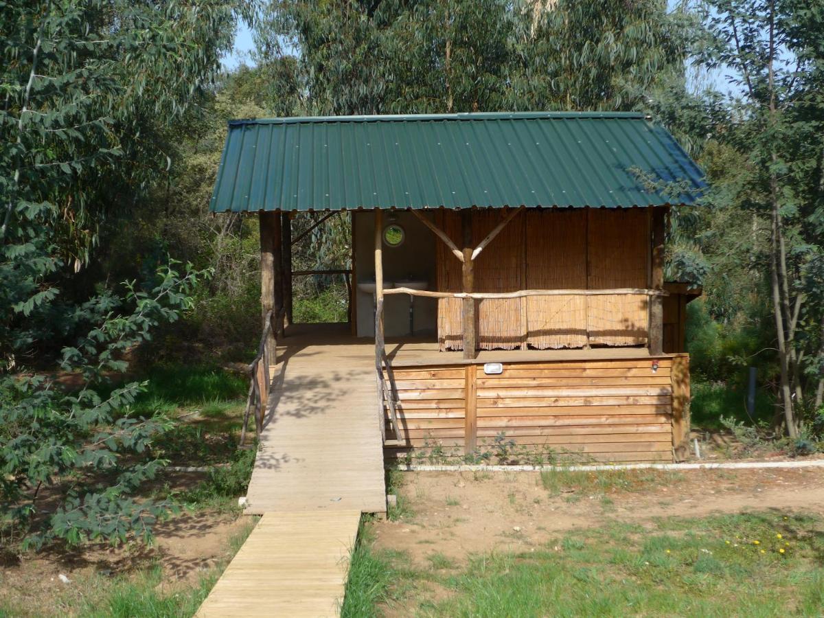 Quinta De Sao Jose Dos Montes Villa เฟร์เรย์รา โด เซเซเร ภายนอก รูปภาพ